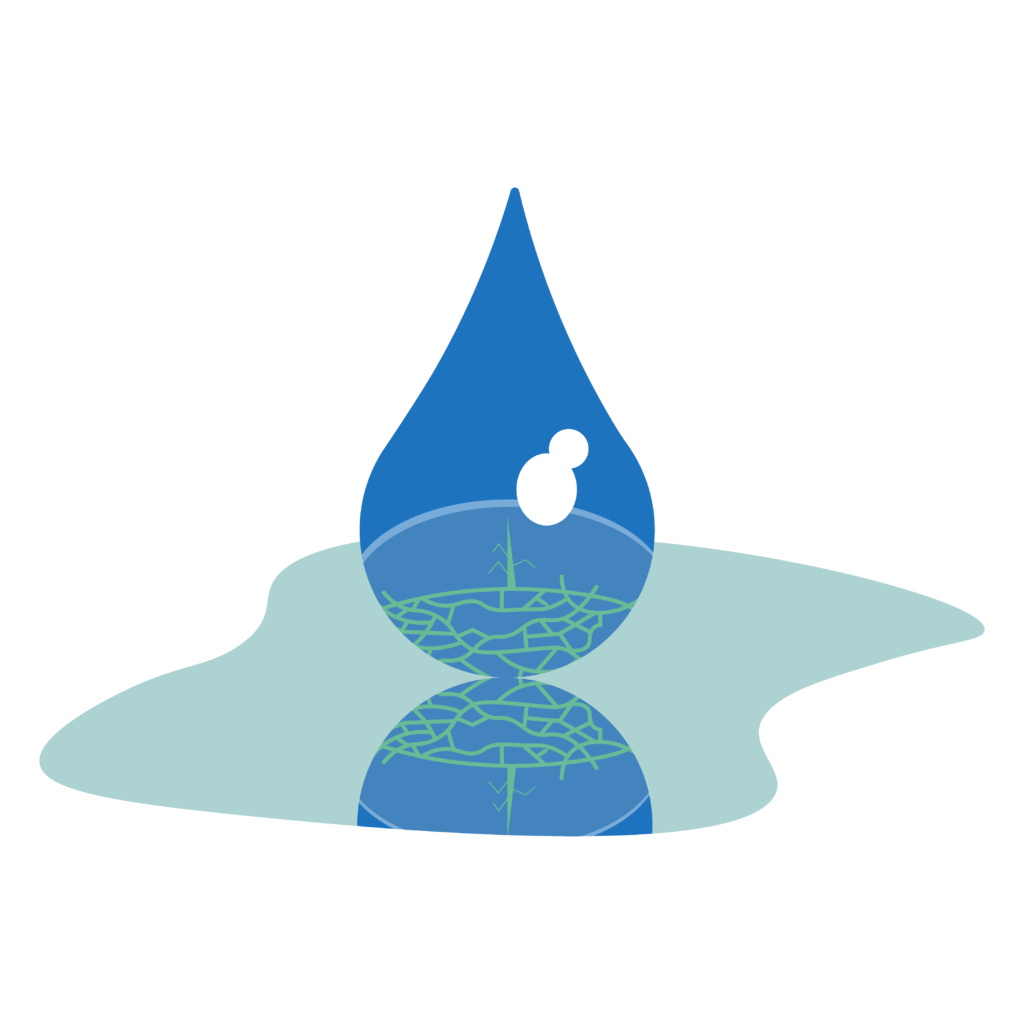Diritto-acqua-Lm-enviroment-rischio-cambiamenti-climatici