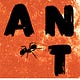 the ant