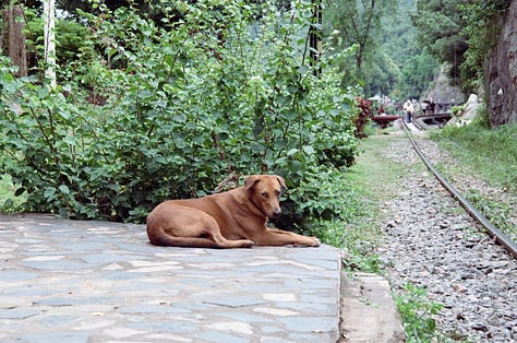 The “Death Railway” Section