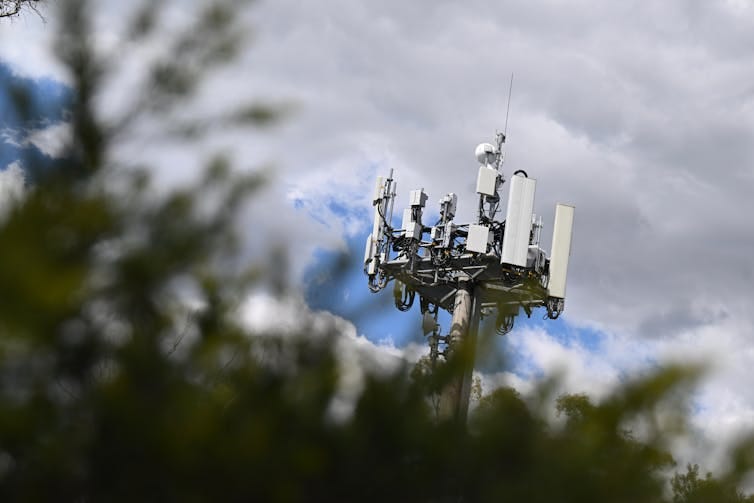 A phone tower rising above trees. A phone tower rising above trees.