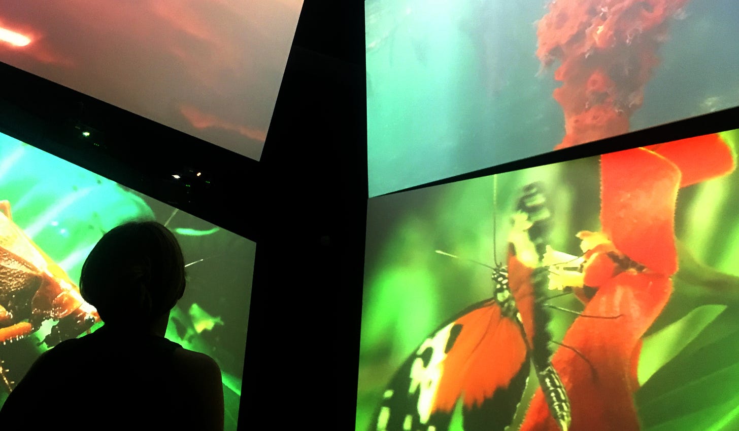Four separate screens show images of the natural world behind a silhouetted figure