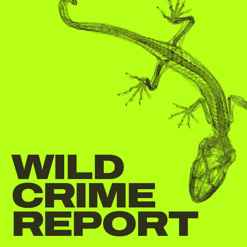 The Wild Crime Report