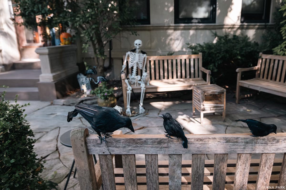black crows and skeletons