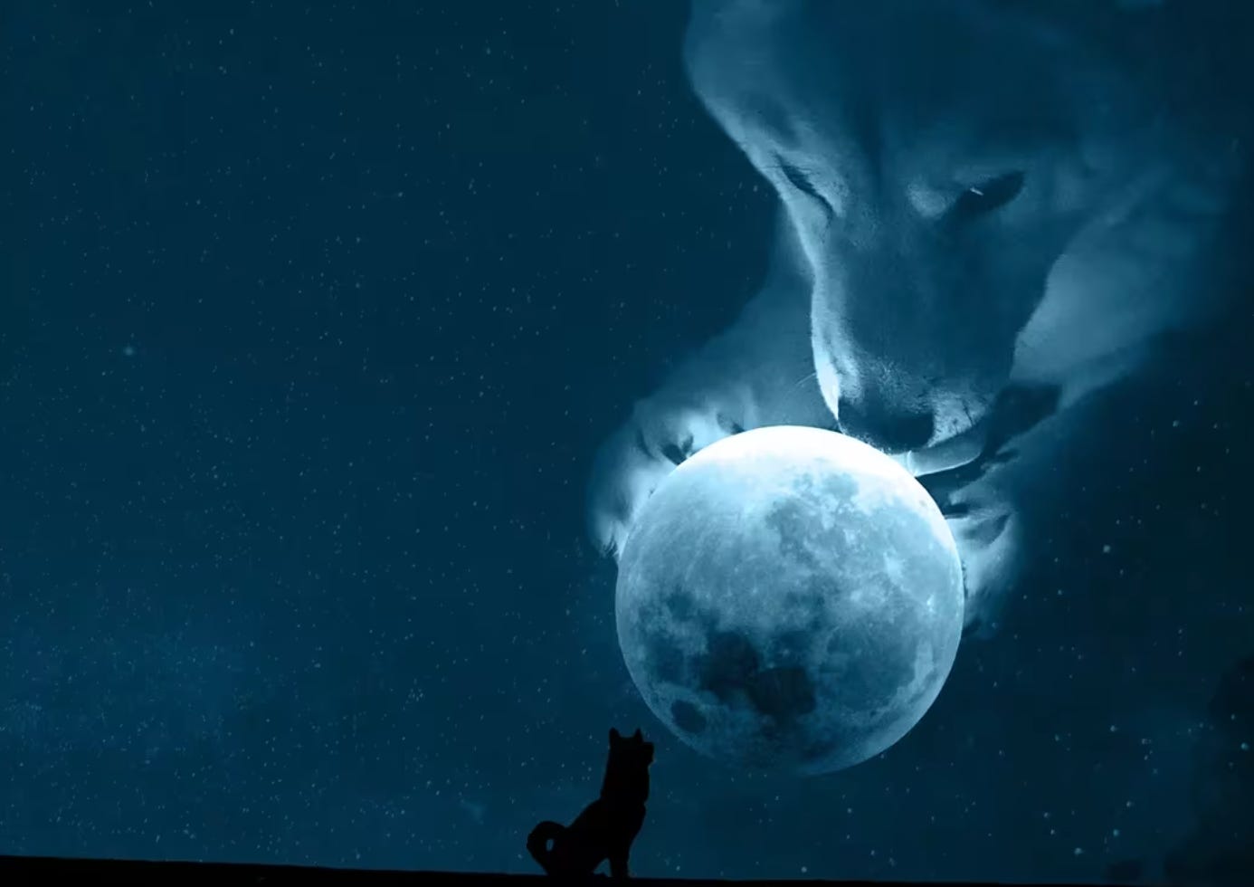 Physical Dogecoin could reach the moon