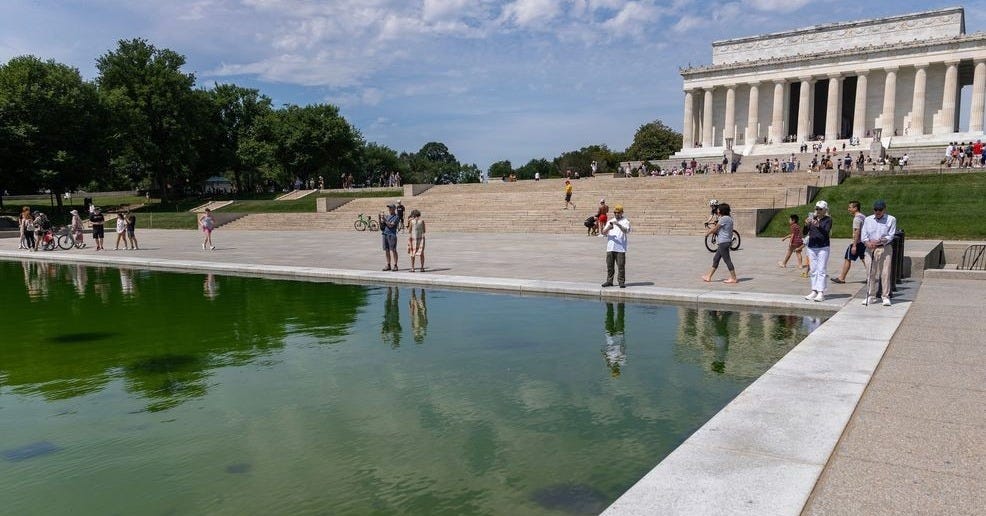 Green algae seen at Lincoln Memorial Reflecting Pool after renovation Green algae seen at Lincoln Memorial Reflecting Pool after renovation