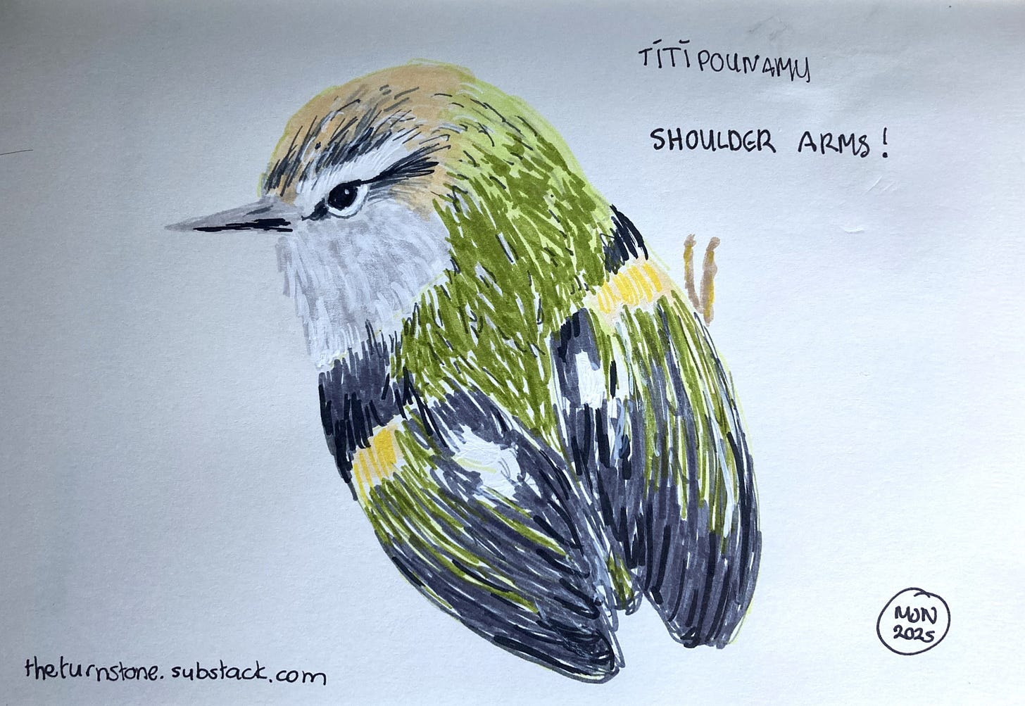 A small bird, mainly green and grey with no tail. Cross expression, caption "shoulder arms"