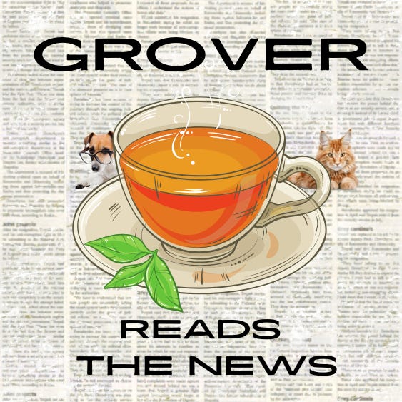 Grover Reads the News