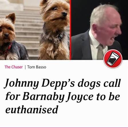 He is clearly dangerous and needs to either be deported or put down  humanely,