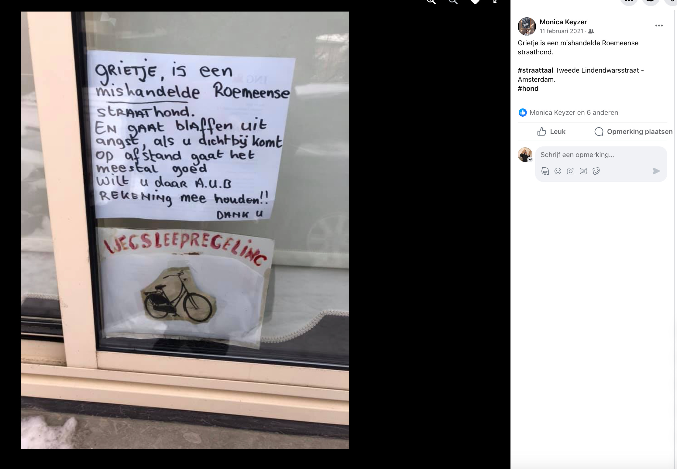 Laag aantal bloedplaatjes | Golden Retriever Dog Forums, image size:2228x1544