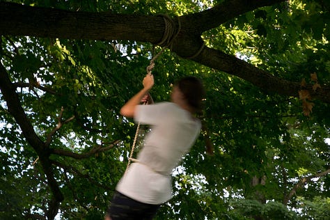 Three photographs: 1) A teen girl blurred by twirling with a rope in a tree; 2) pink sky above trees on Midsummer's Eve; 3) two young girls blurred as they do somersaults on a lawn at dusk. (Credit: Nancy Forde)