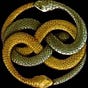 Chris Gladis's avatar
