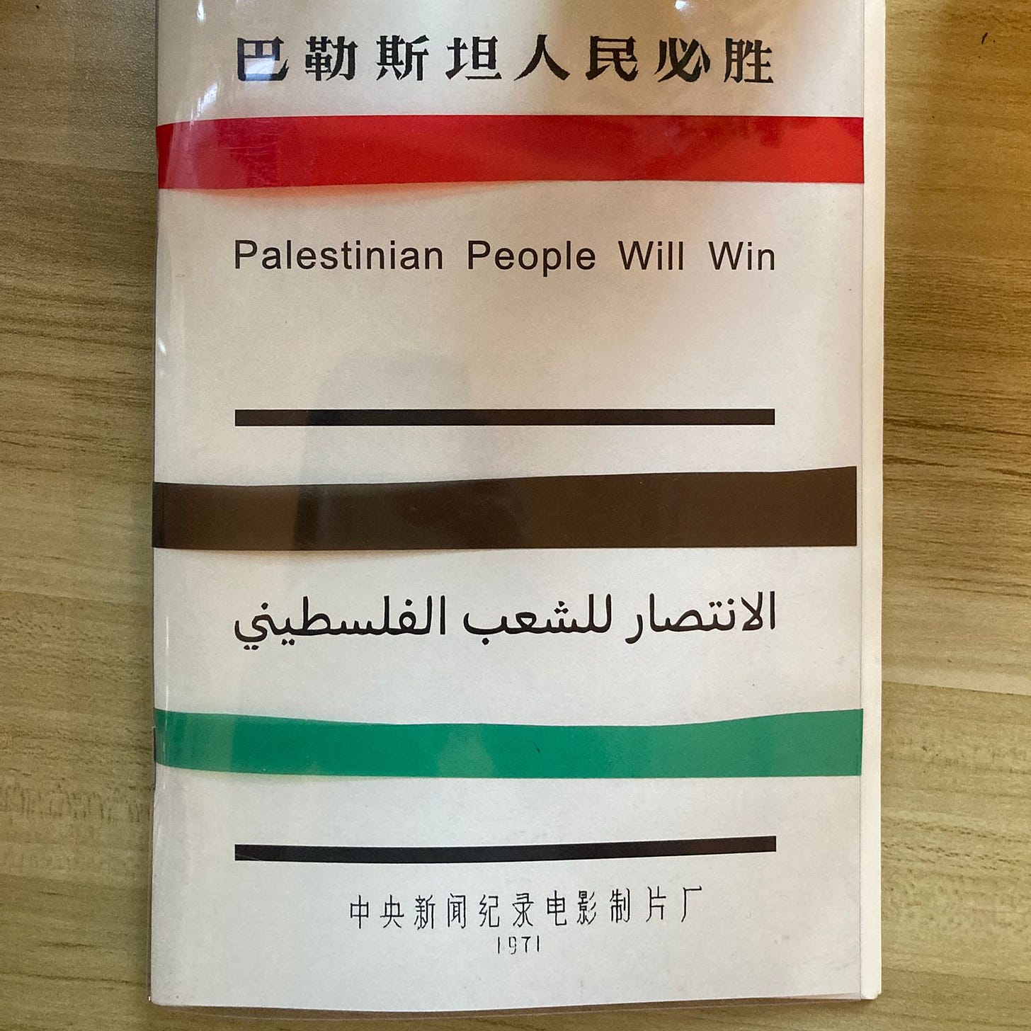 パレスチナの人たちが勝利する、書影