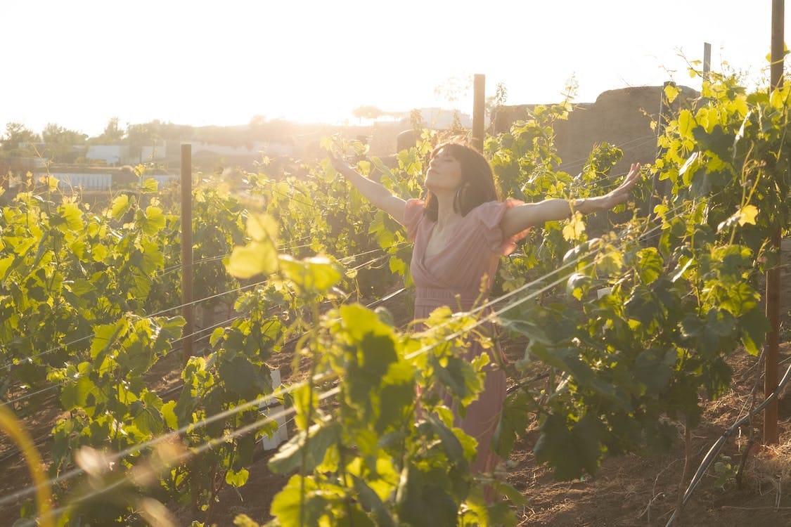 Free 
A Woman Wearing a Dress in a Vineyard Stock Photo