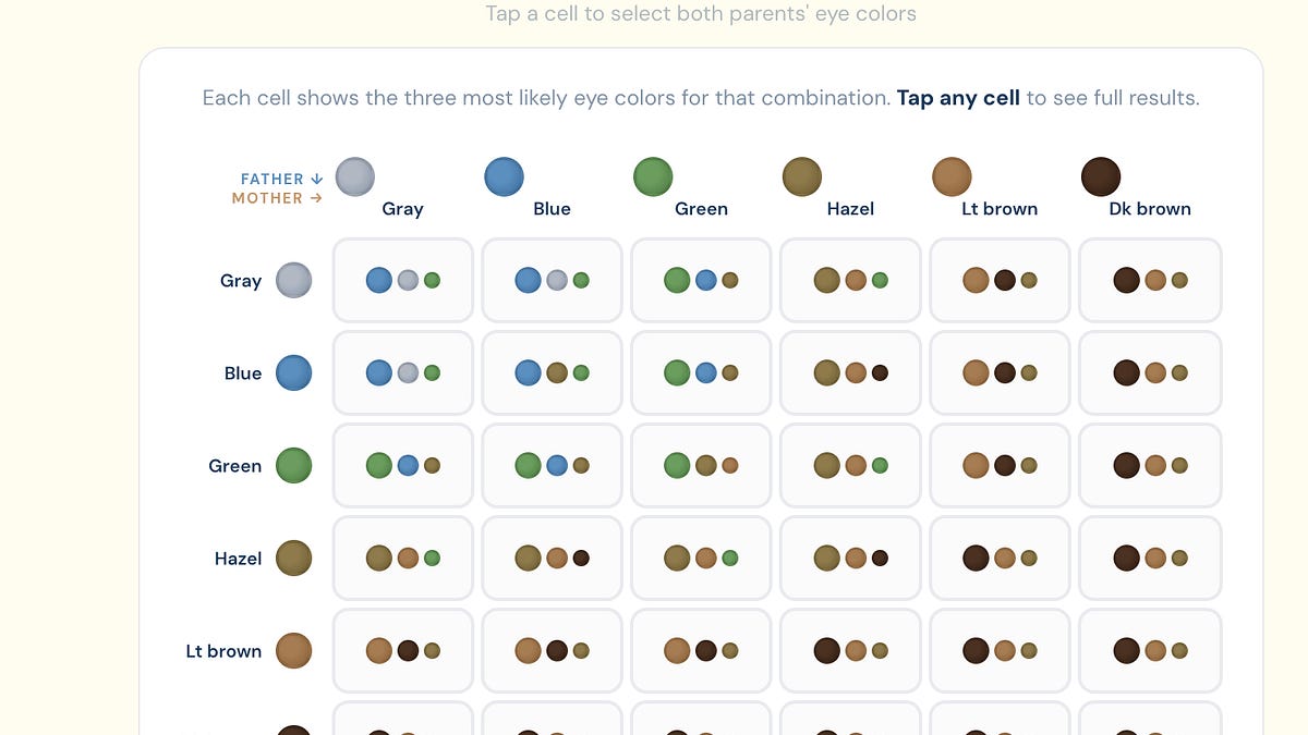 Eye Color Inheritance Tree Mendel Eye Color Chart