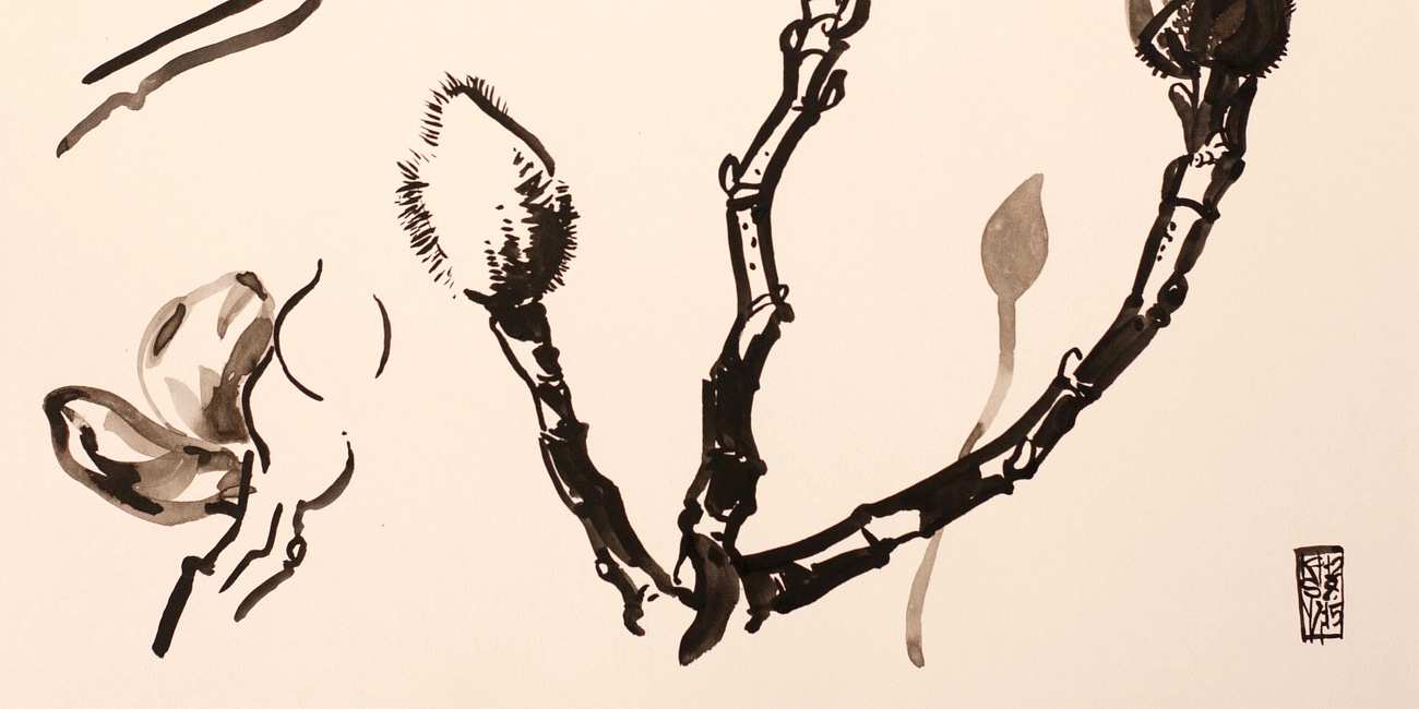 Vernalisation / Bread and Roses