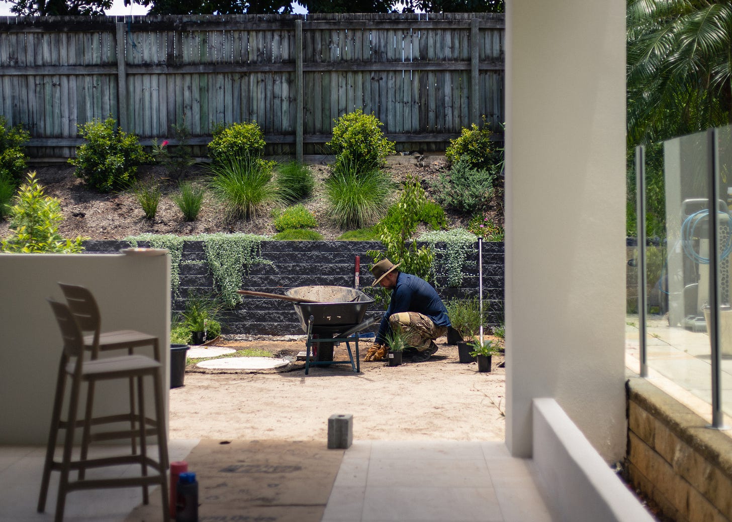 Australian native garden