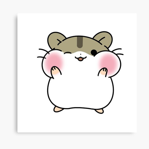 Substack profile picture for @hams