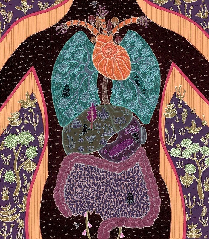 This may contain: an image of a painting with flowers and leaves on the back of its body, surrounded by other art work