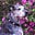 Jason Merchey's avatar