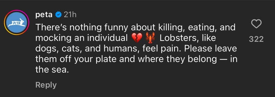 PETA Calls Out Cynthia Nixon's Lobster Pic