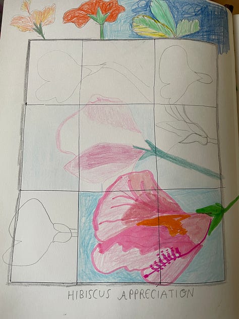 drawings of flowers in pencil, watercolor, and gouache