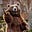 NatureBear's avatar