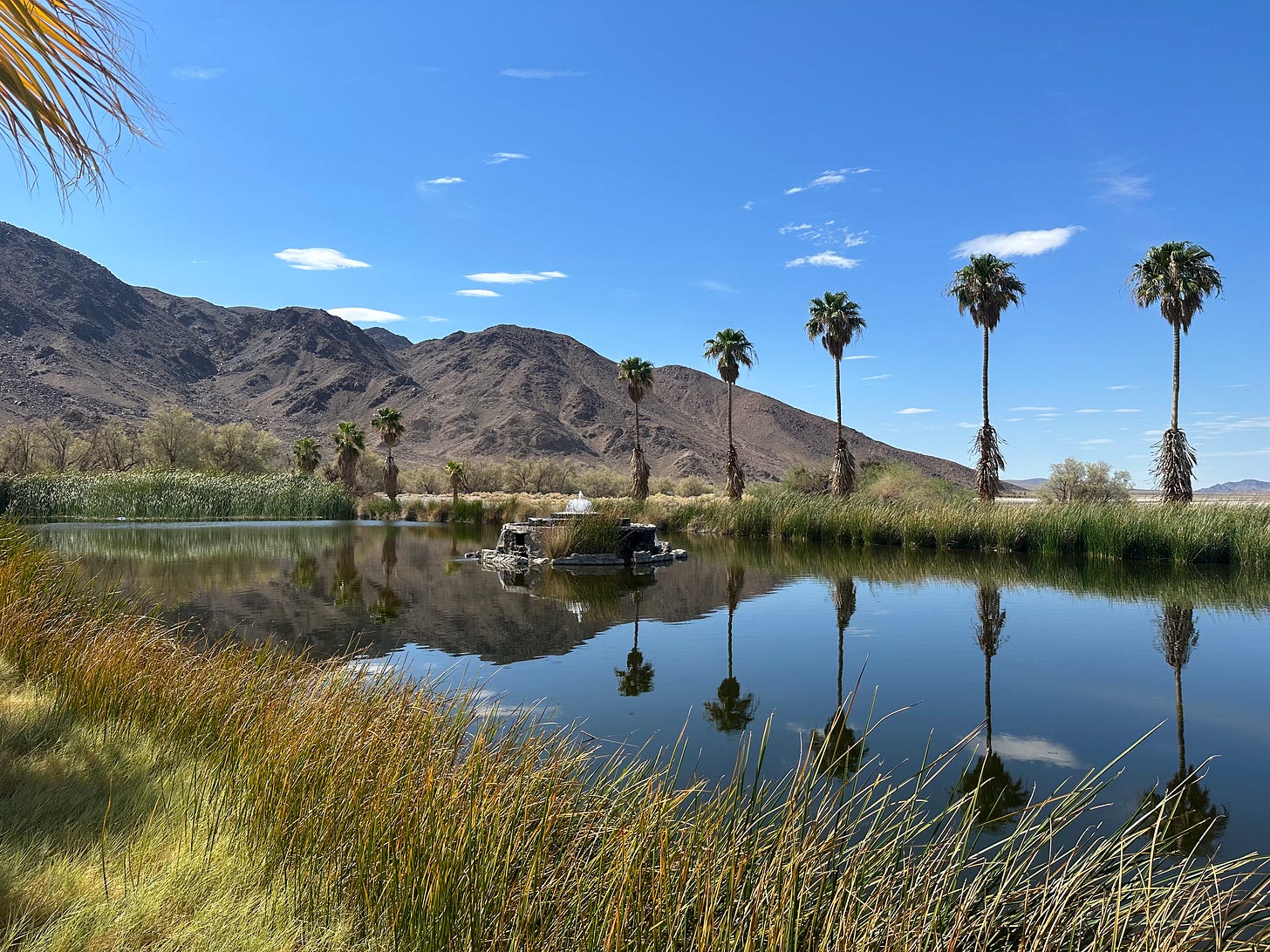 a blue sky above a desert mountain in the backdrop, foregrounded by a row of palm trees at the edge of a shallow pool with a rustic fountain.