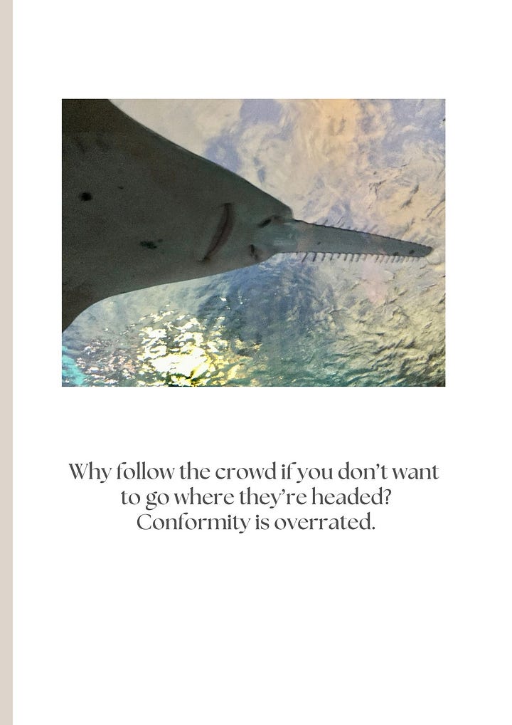 photos of a sawfish, pelican, and ducks with inspirational quotes