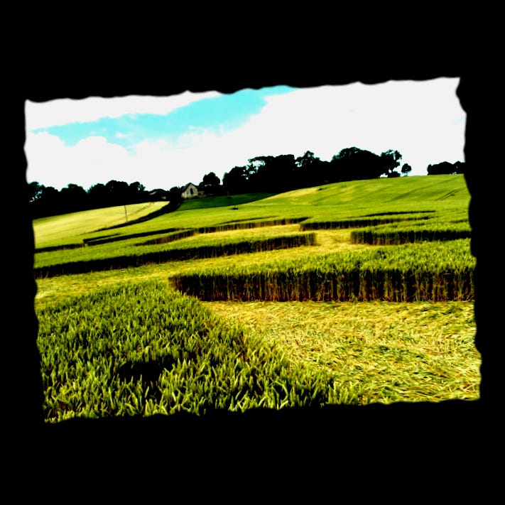 Citizen’s Substack