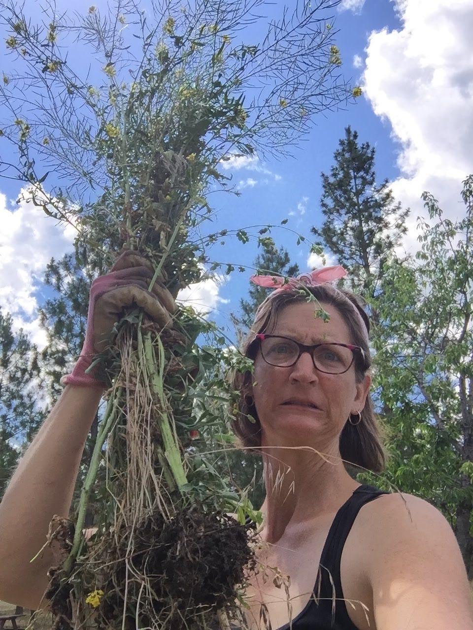 me, wearing a black tanktop with a pink bandana tied in my hair, trying to look tough, holding a fistful of huge weeds against the backdrop of a blue sky with puffy clouds me, wearing a black tanktop with a pink bandana tied in my hair, trying to look tough, holding a fistful of huge weeds against the backdrop of a blue sky with puffy clouds