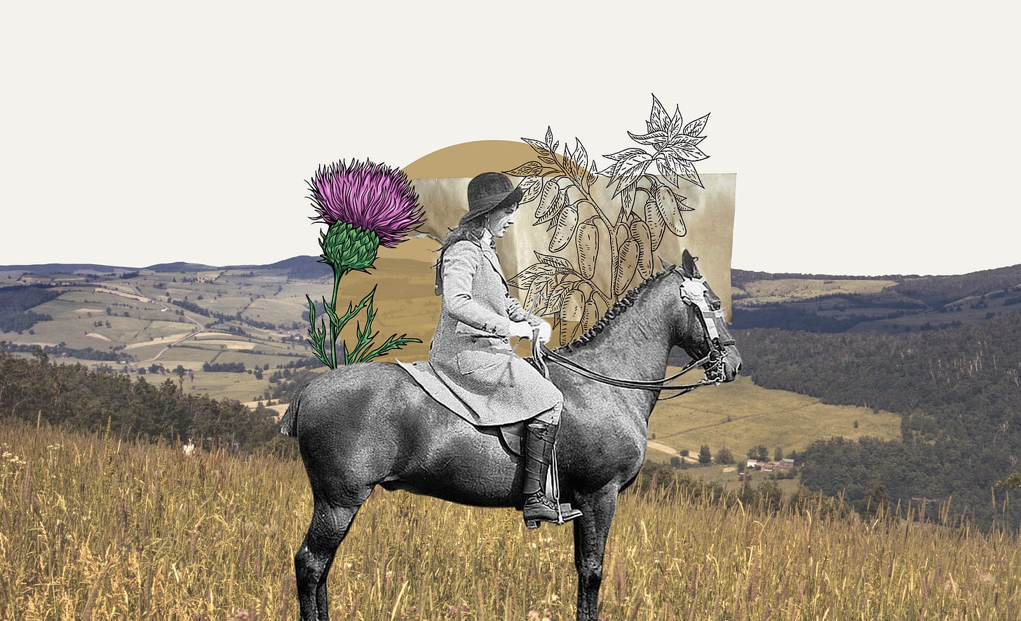 collage inspired by this week's memo