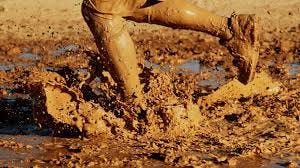 Yucky, Slimy, Bloody Muddy Spring ...
