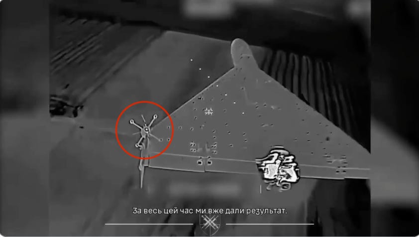 FPV_lodged_ShaedWing_01.png