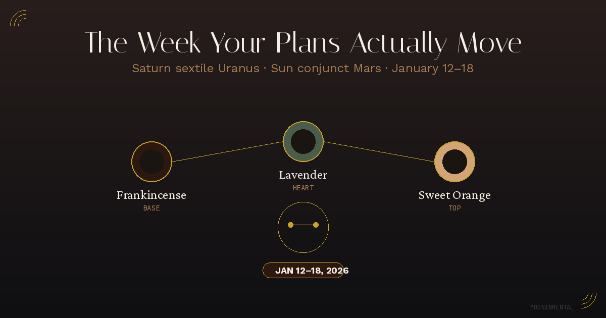 Frankincense, Lavender, and Sweet Orange essential oils — January 12–18 MoonInMental transit blend for Saturn sextile Uranus week