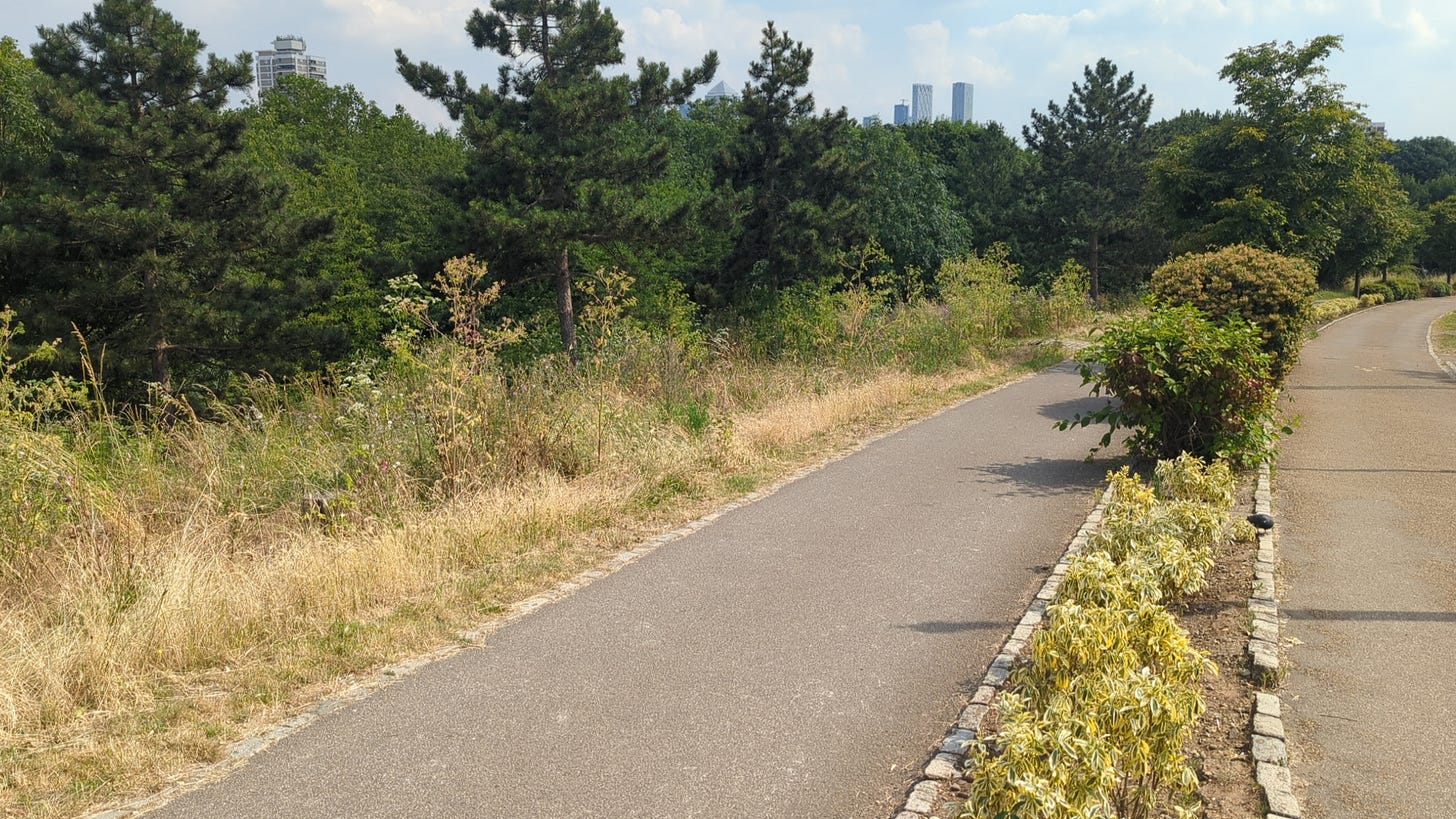 Mile End Park Pine Copse