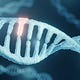 The APOE4 Gene | Brain Health & Alzheimer’s Prevention 