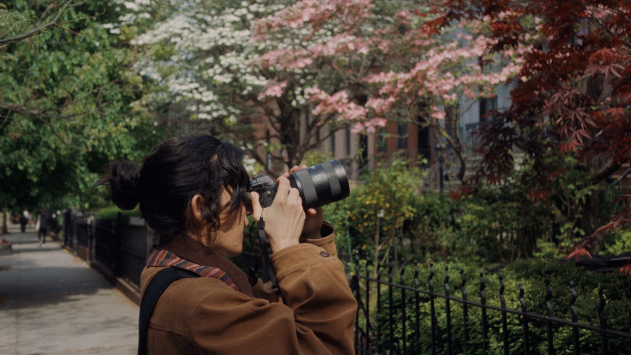 The Scout | 2025 Tribeca Festival | Tribeca