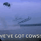 Scott Bessent Says We've Got Cows