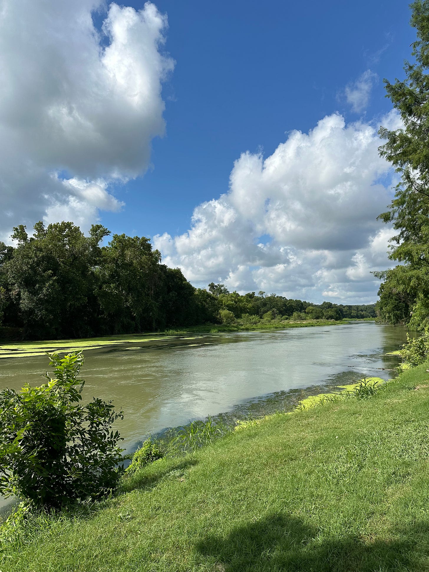 The Colorado River flows with green algae under a cloudy Texas sky in summer.