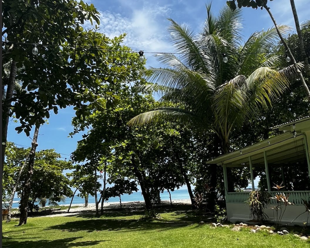 036: Redesign your Ecosystem, Redesign your Life. 036: Redesign your Ecosystem, Redesign your Life.