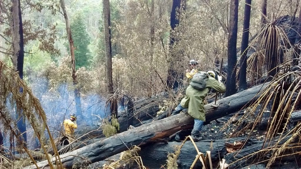 Fighting bushfire in Cradle Mountain-Lake St Claire National Park, Tasmania in late January 2016