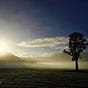 Wild & Quiet's avatar