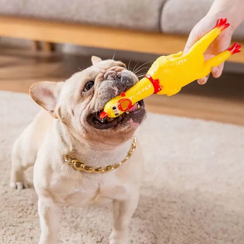 Screaming Chicken Funny Dog Chew Toys Pack Screaming Chicken Dog Toys Rubber  Squeak Chew Toy Novelty