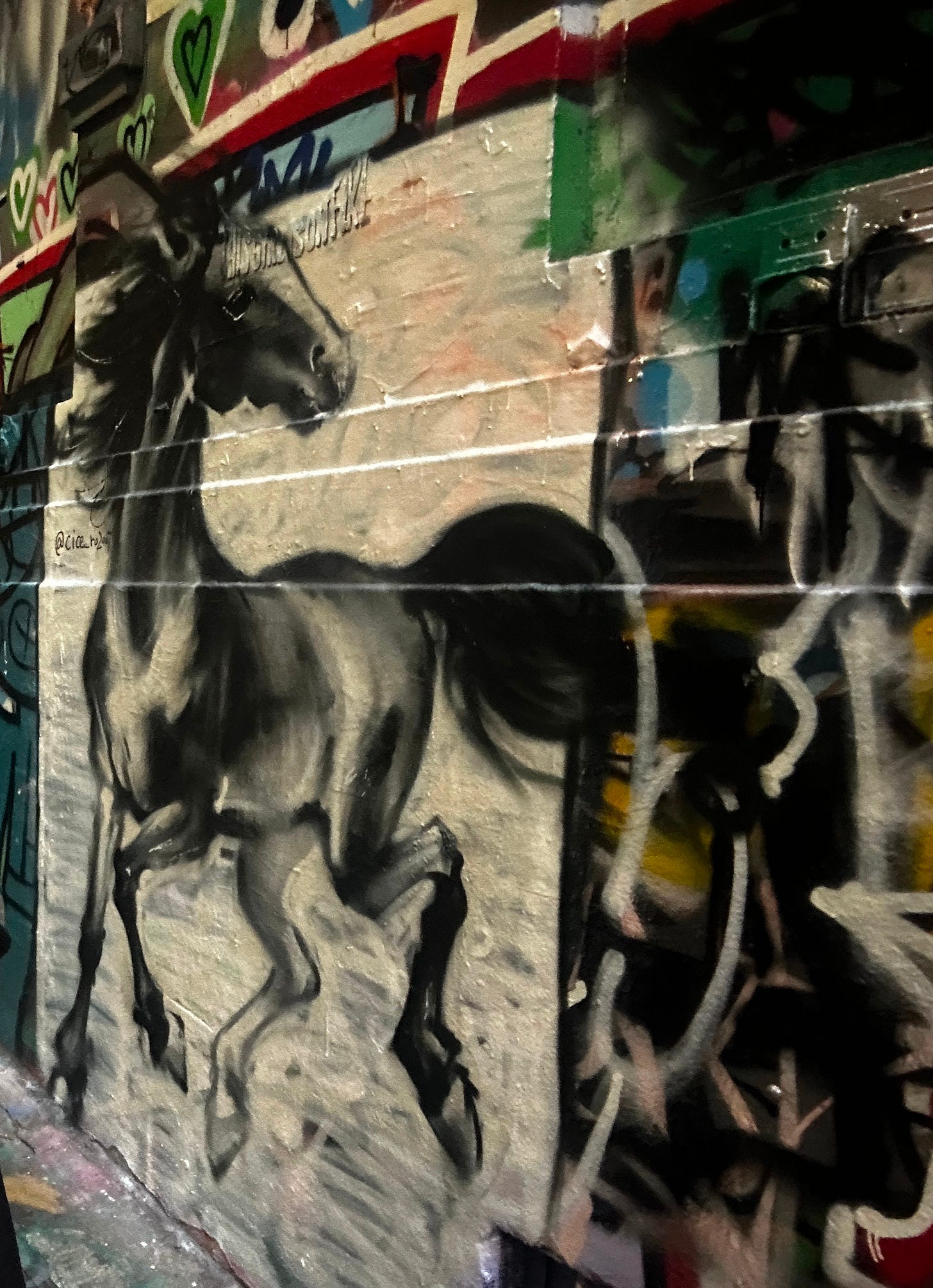 Year of the fire horse, street art, laneways in Melbourne