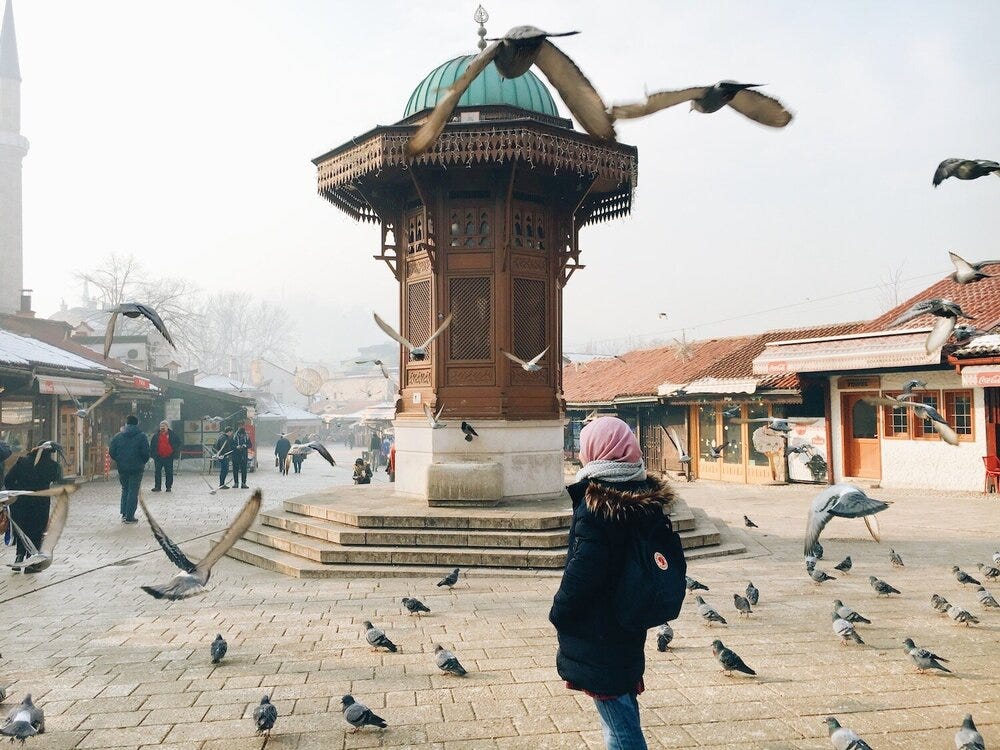 IMG_2258.JPG IMG_2258.JPG