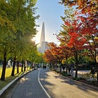 Reflections on a Year Lived in Korea