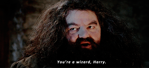 yer_a_wizard_arry.gif
