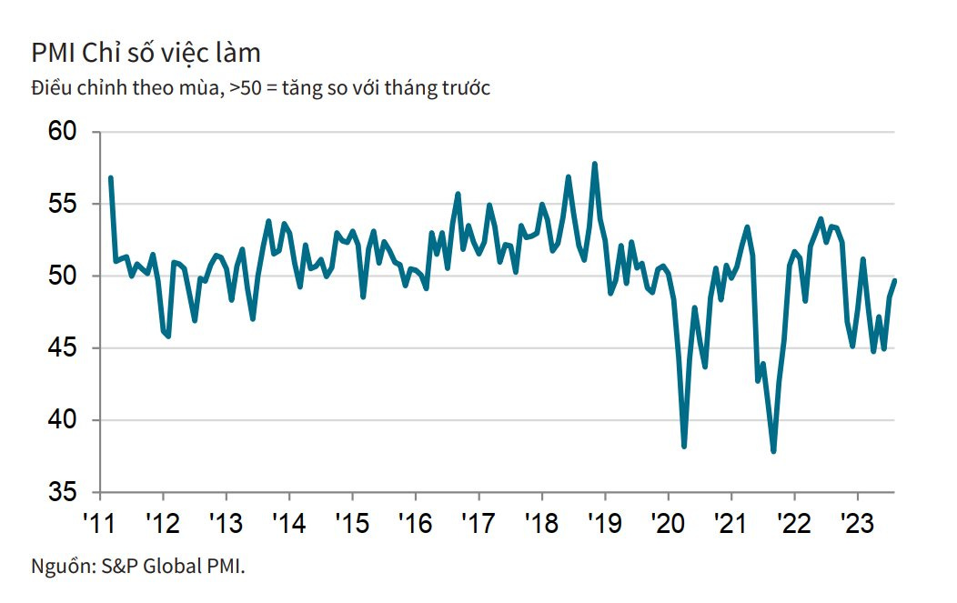 PMI Việt Nam tháng 8 vượt ngưỡng 50 điểm sau 6 tháng, liệu ngành sản xuất đã phục hồi hoàn toàn? - Ảnh 3.