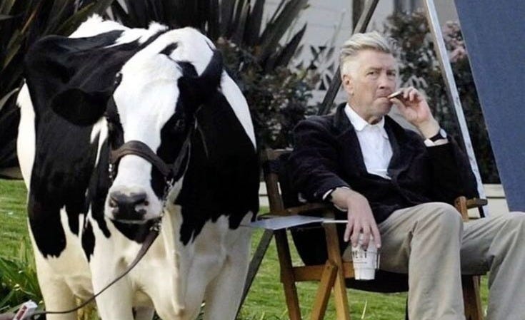 This may contain: a man sitting in a chair next to a black and white cow