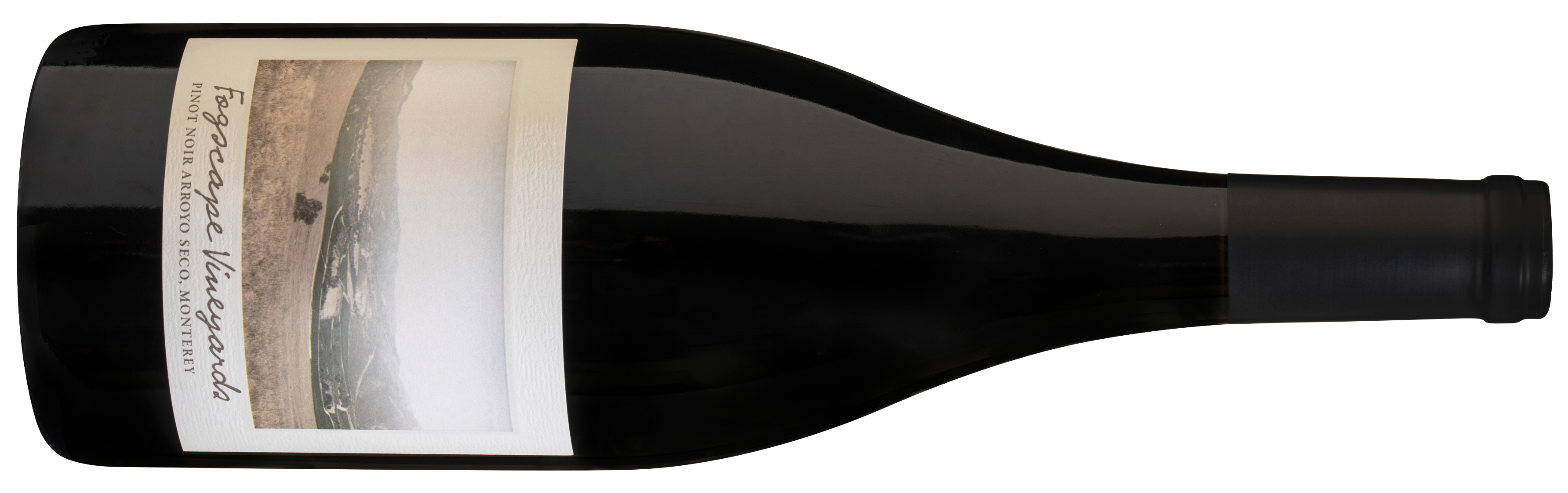 A Tour of New World Pinot Noir At VIWF 2025